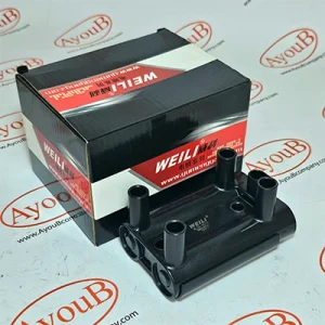 کویل وانت آمیکو WEILI