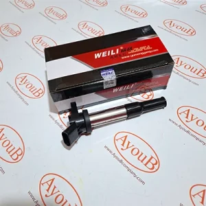 کویل ون اینرودز WEILI